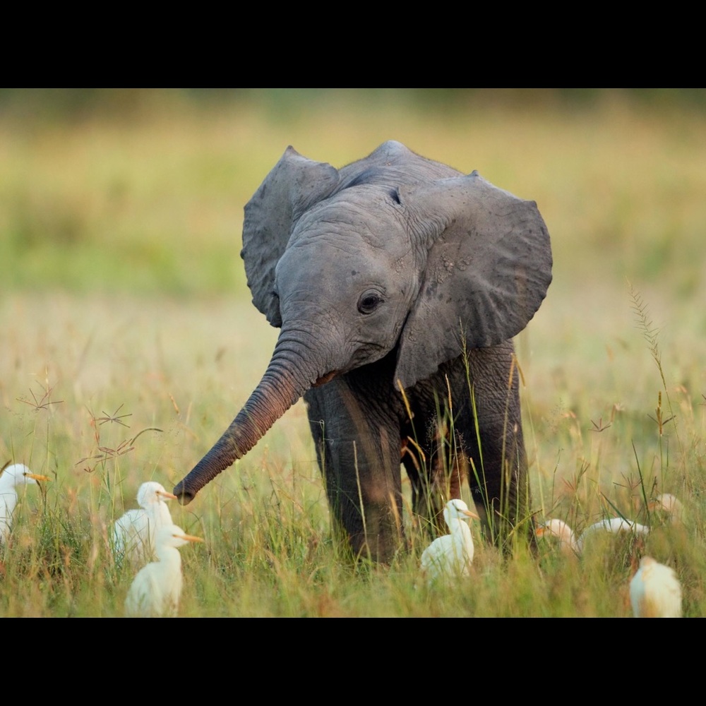 MAKE OFFERS NEED MONEY FOR MISSION TRIP